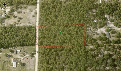 6592 N Velveteen Pt , Dunnellon Florida                                                                                              34433